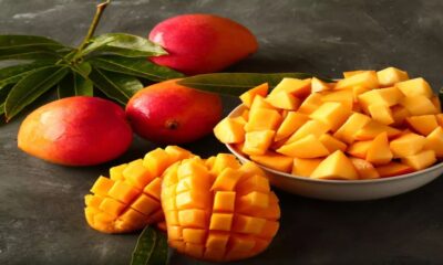 alphonso mango