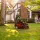 Yard Art Landscaping