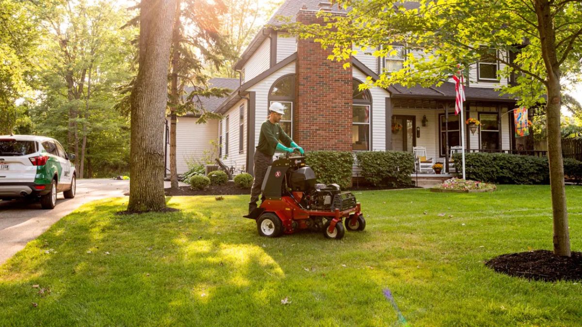 Yard Art Landscaping